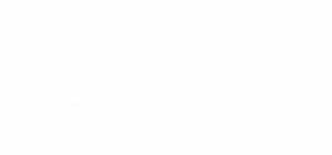 Social-Synergy-Project-Logo
